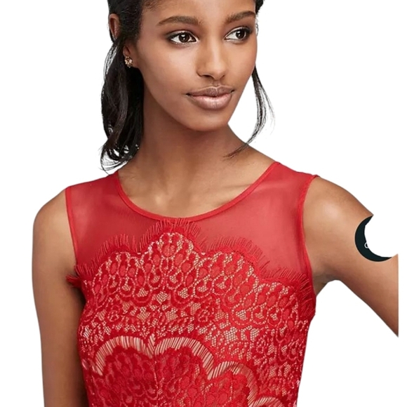 Jax Red Nude Short Sleeve Illusion Eyelash Lace Fitted Sheath Dress Size 2 - Picture 3 of 11
